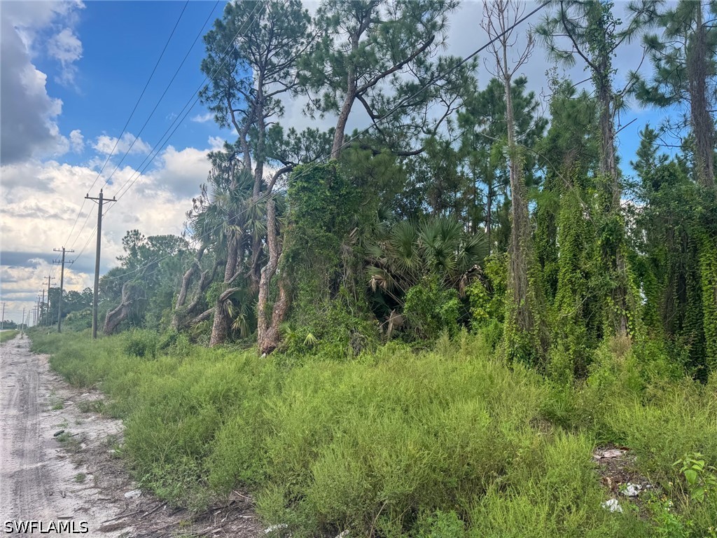 Acreage for Sale in Golden Gate Estates, photo 2