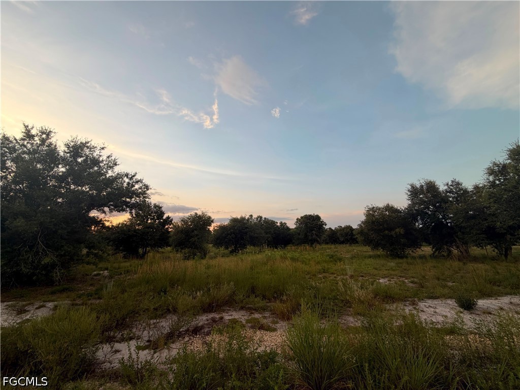 Residential for Sale in Hendry Estates, photo 2