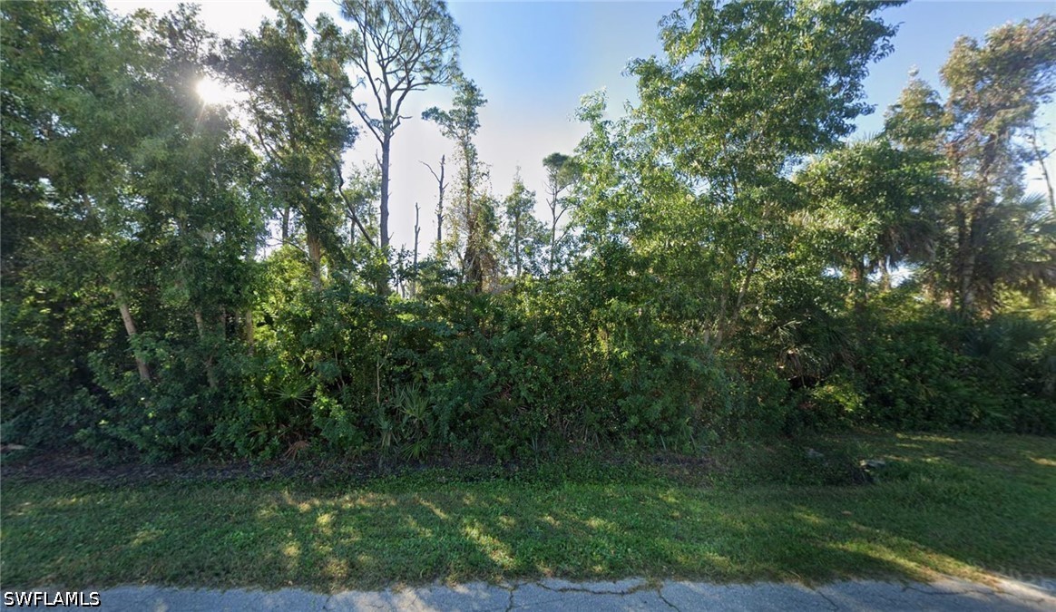 Residential for Sale in Tropical Homesites, photo 2