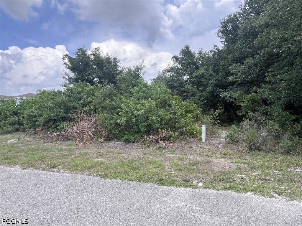 Residential for Sale in Cape Coral, photo 2