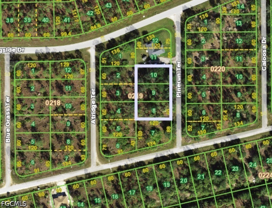 Residential for Sale in Tropical Gulf Acres, photo 2