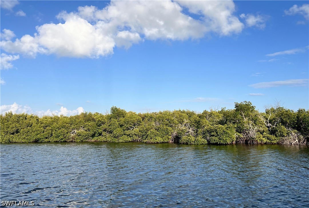 Waterfront Home for Sale in Acreage, photo 2