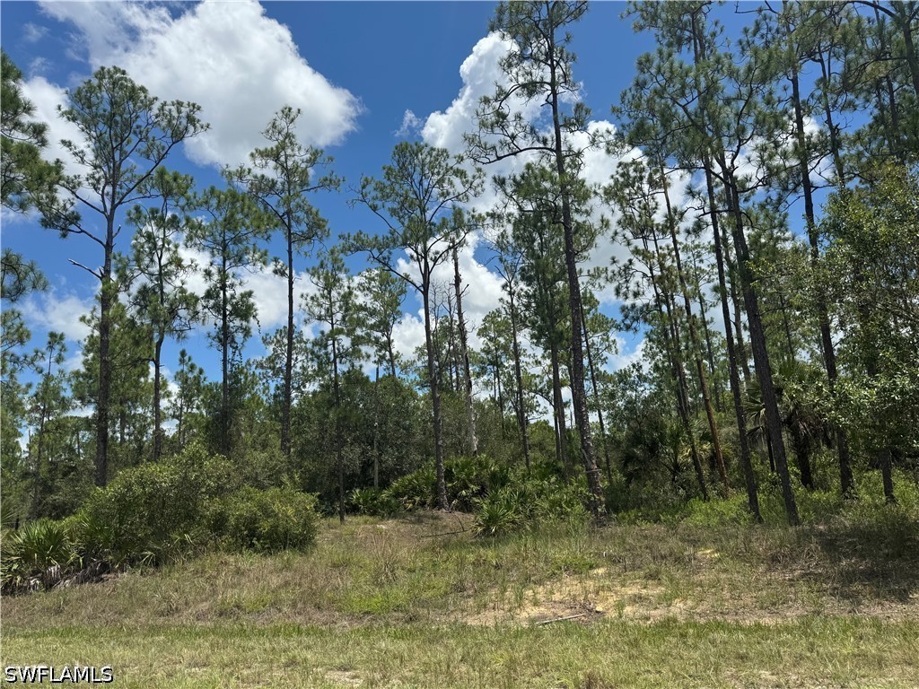 Acreage for Sale in Lehigh Acres, photo 2