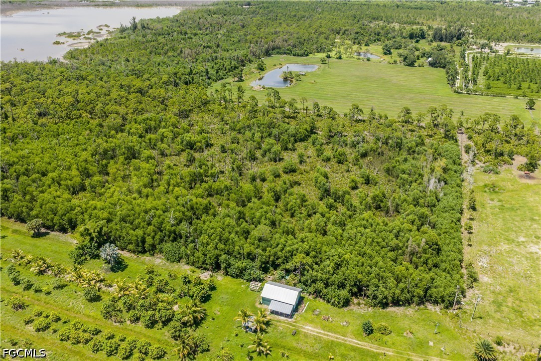 Acreage for Sale in St James City, photo 11