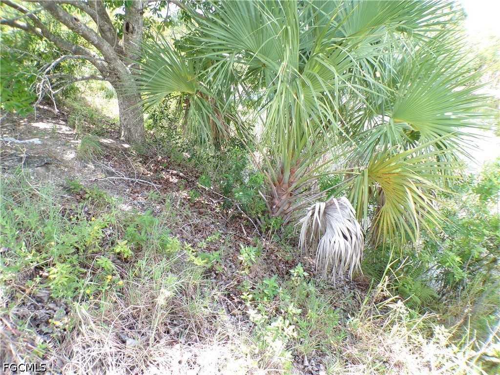 Waterfront Home for Sale in Cape Coral, photo 12