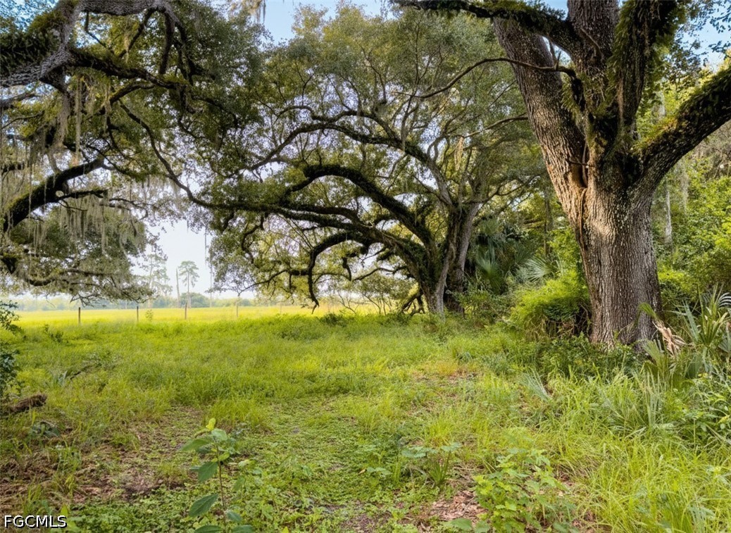 Acreage for Sale in Labelle, FL, $2,250,000 — photo 15
