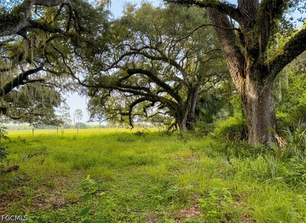 Acreage for Sale in Labelle, FL, $2,250,000 — photo 17