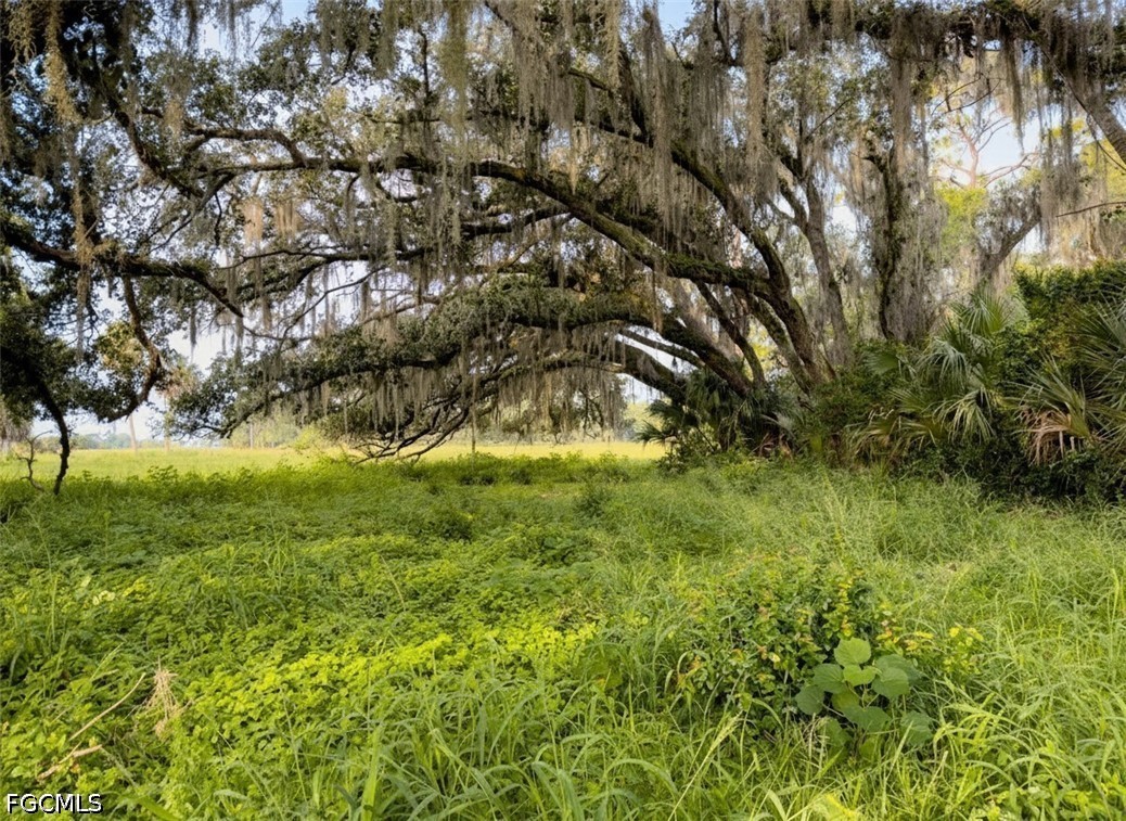 Acreage for Sale in Labelle, FL, $2,250,000 — photo 18