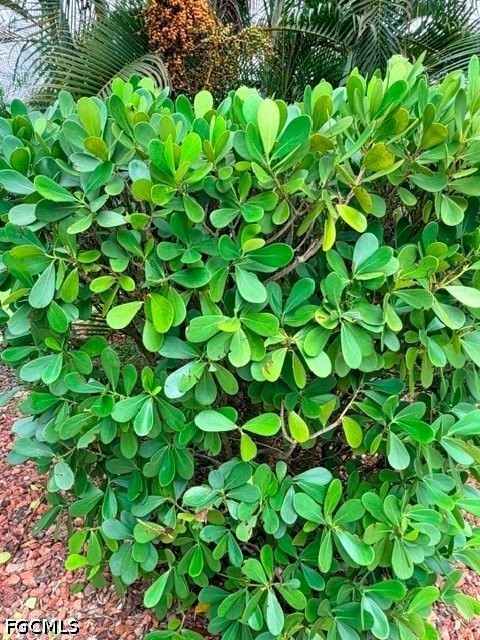 Residential for Sale in Fort Myers, photo 18
