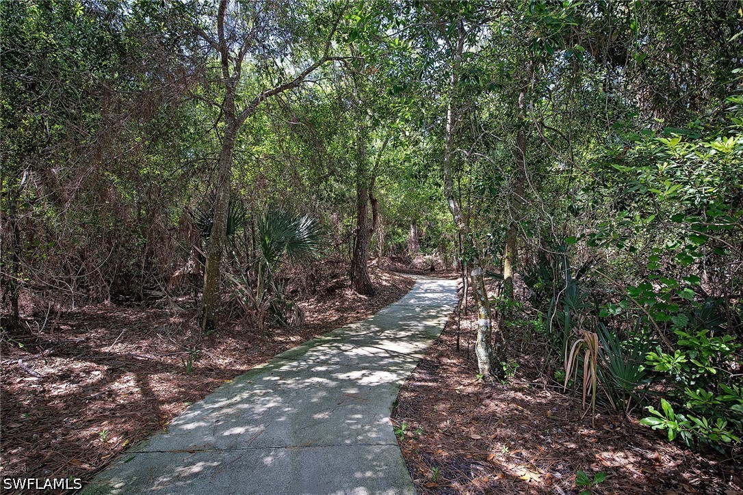 3 Bed Pool Home for Sale in Autumn Woods, FL, $1,000,000 — photo 19