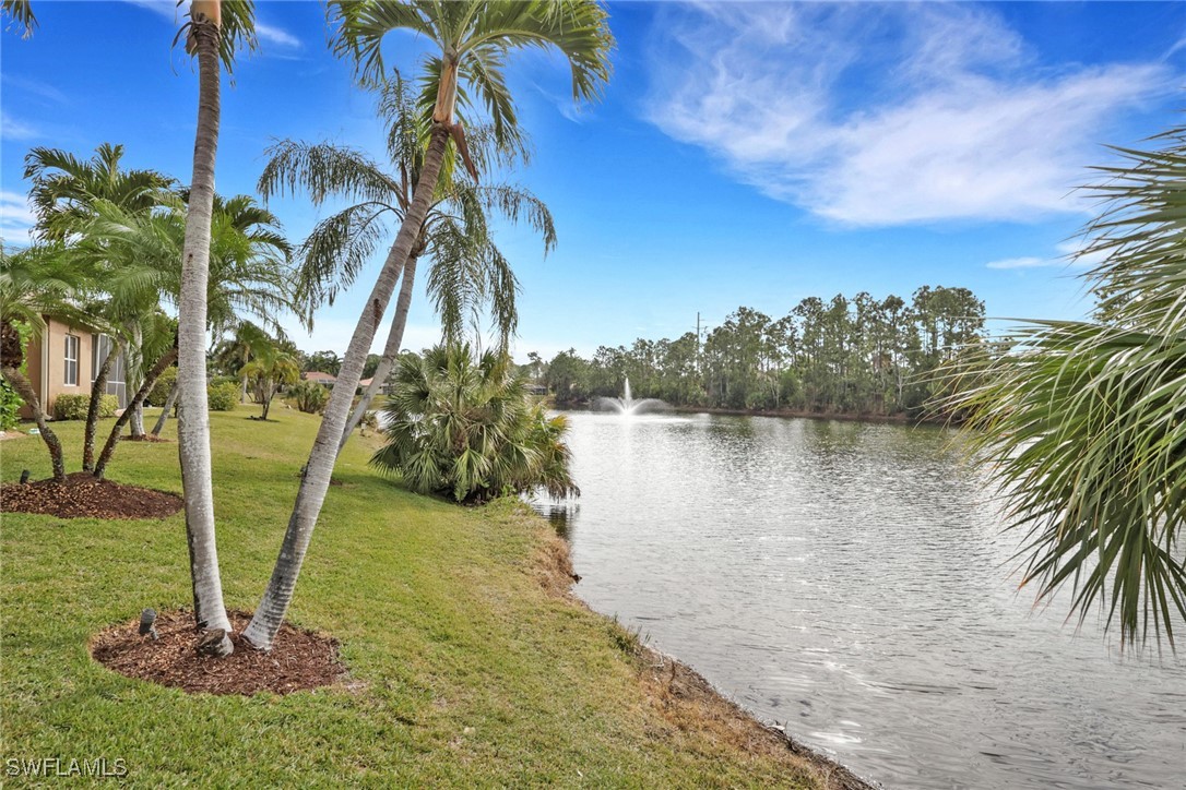 4 Bed Pool Home for Sale in Briarwood, photo 19