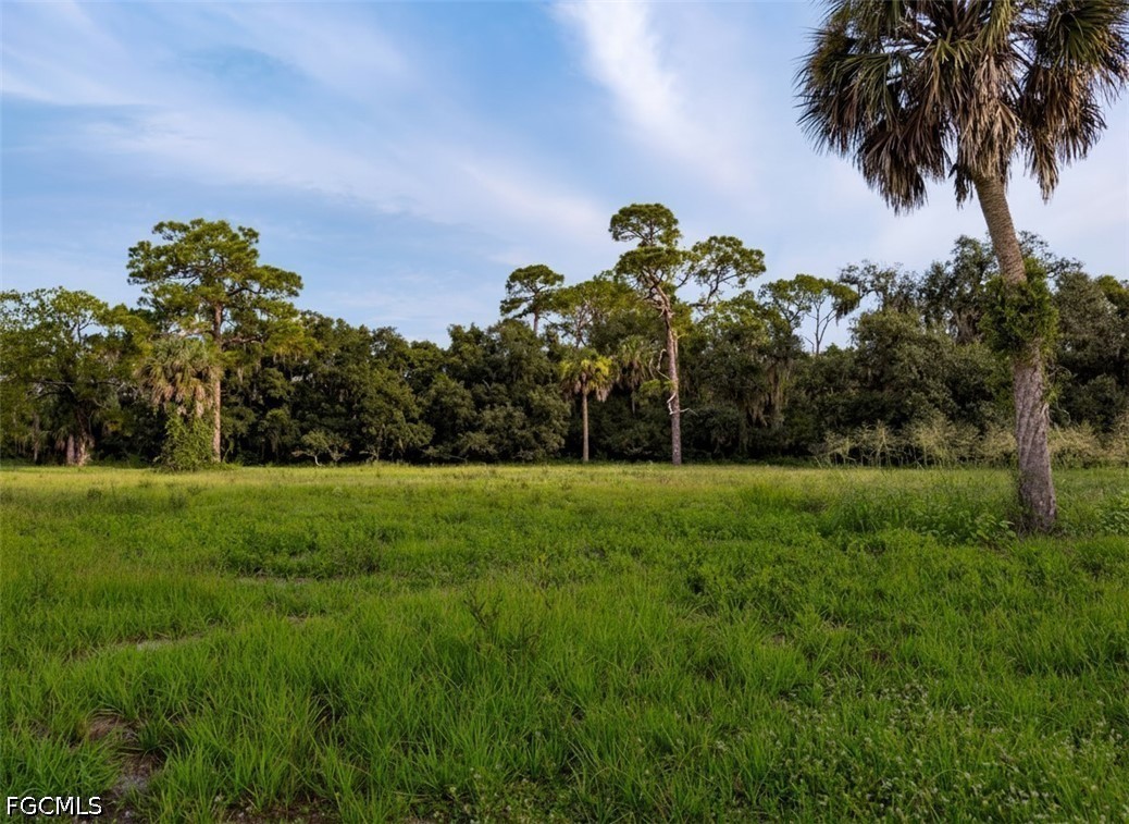 Acreage for Sale in Labelle, FL, $2,250,000 — photo 19