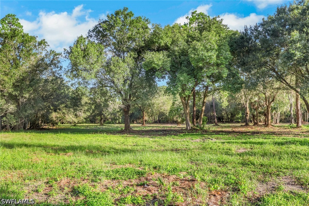 Acreage for Sale in Buckingham, photo 19