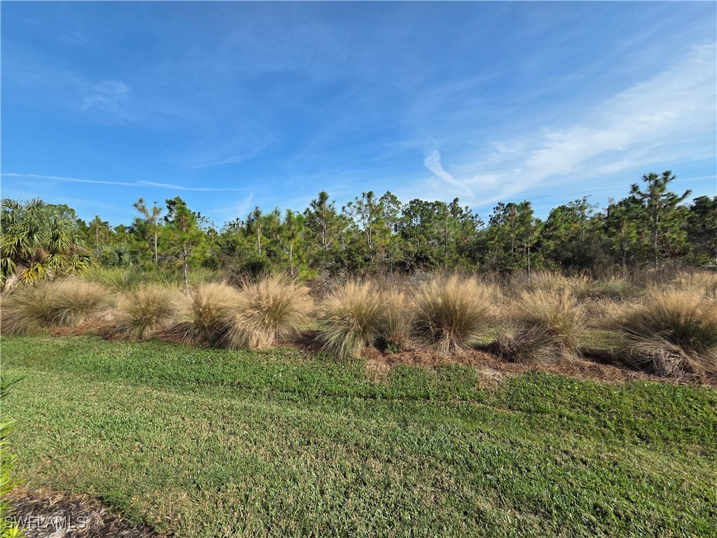 2 Bed SingleFamilyResidence for Sale in Corkscrew Shores, FL — photo 20