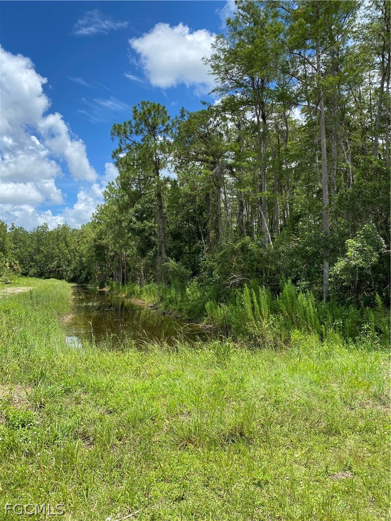 Acreage for Sale in Acreage, FL, $295,000 — photo 3