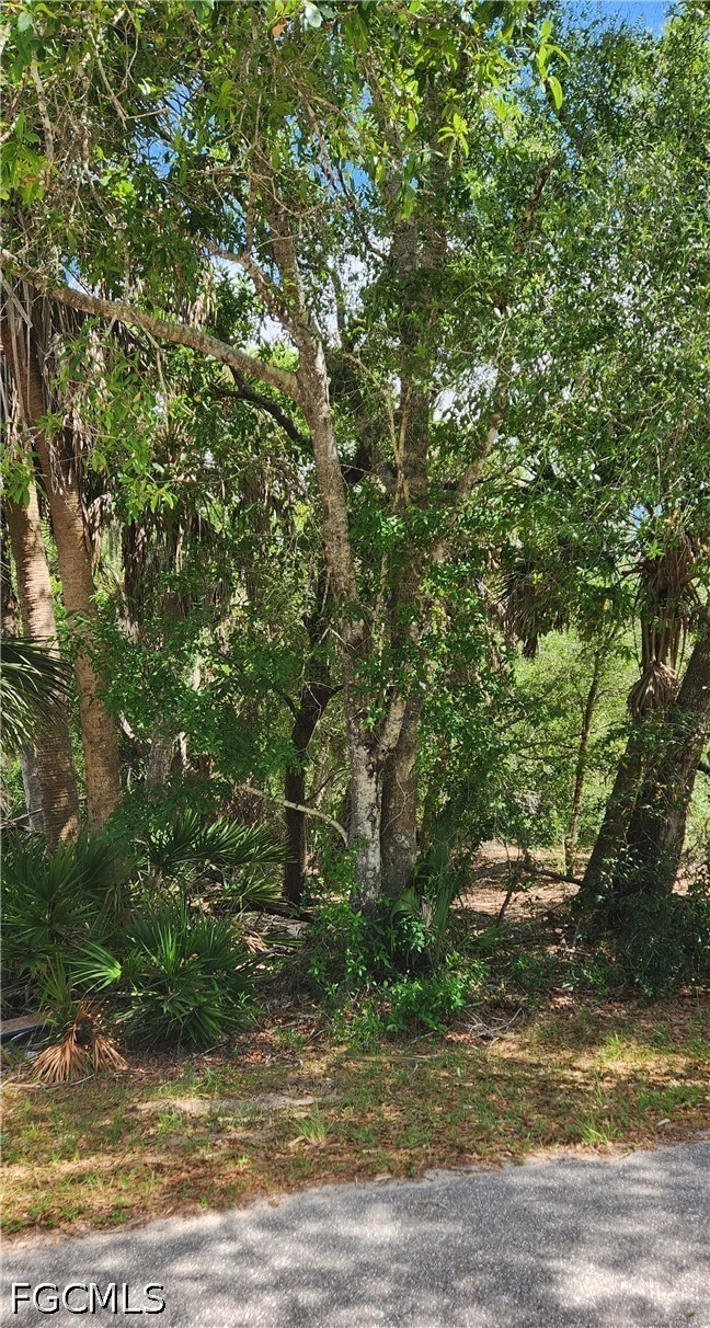Residential for Sale in Port Charlotte, FL, $16,000 — photo 3