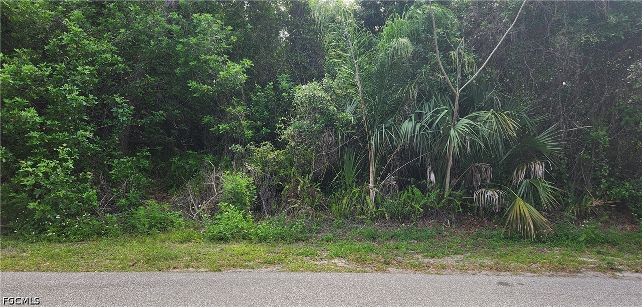 Residential for Sale in Port Charlotte, FL — photo 3