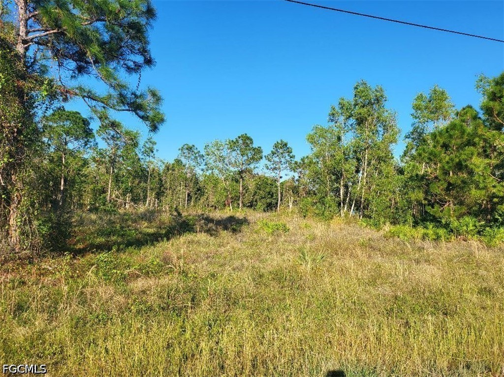 Acreage for Sale in Southwood, FL, $29,999 — photo 3