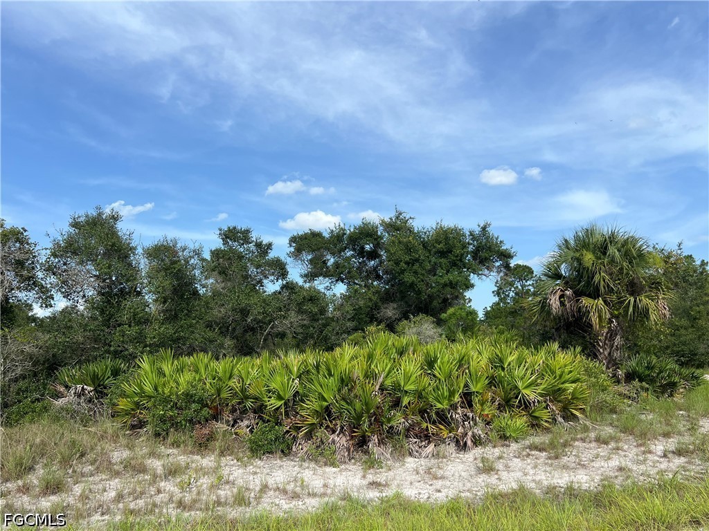 Acreage for Sale in Lehigh Acres, photo 3