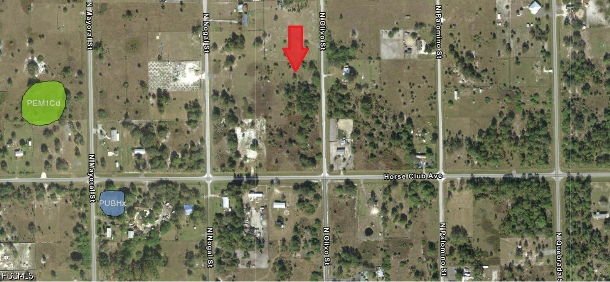 Commercial for Sale in Montura Ranch Estates, FL — photo 3