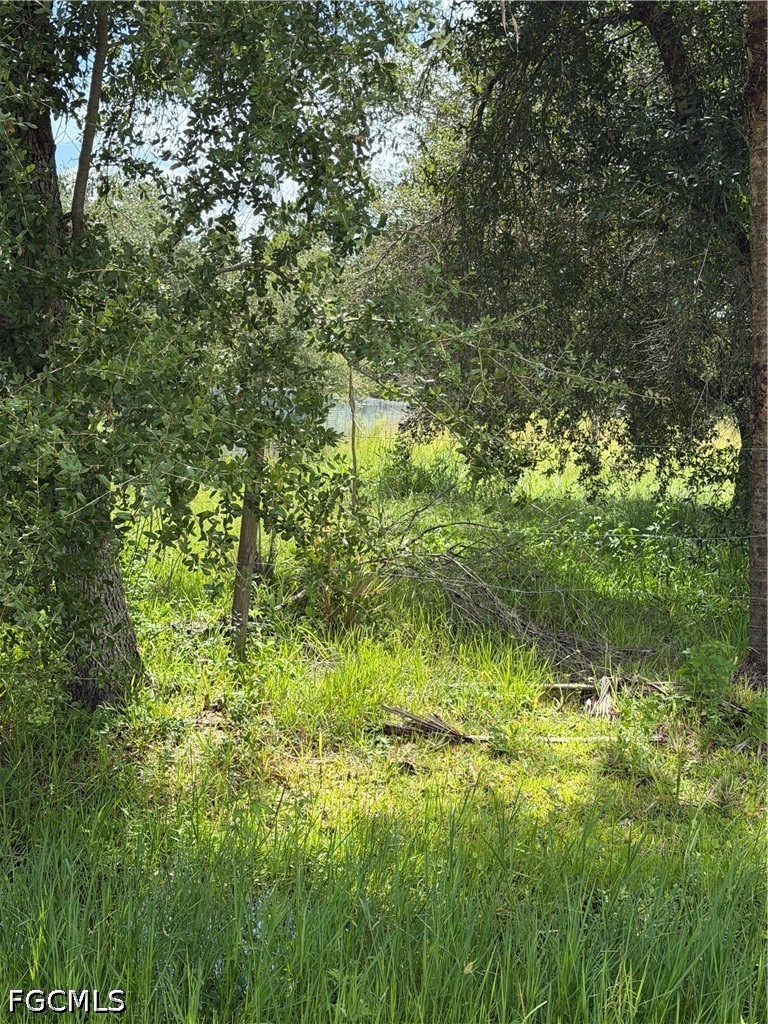 Residential for Sale in Montura Ranch Estates, FL, $65,000 — photo 3