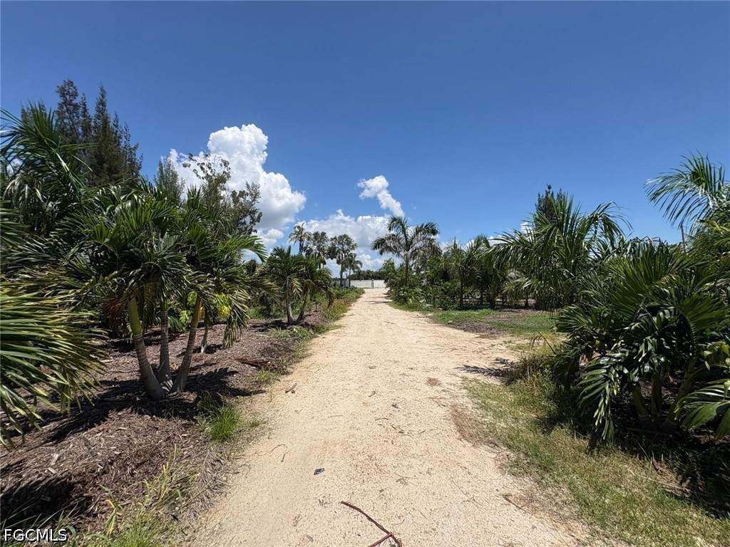 Acreage for Sale in Gulf Shores Estates, photo 3