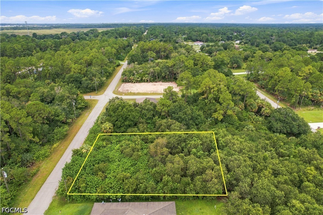 Residential for Sale in Lehigh Acres, FL, $20,999 — photo 3