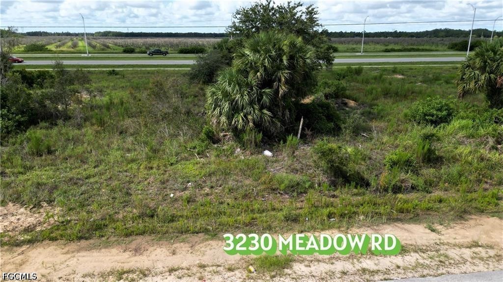 Commercial for Sale in Lehigh Acres, FL, $56,000 — photo 3
