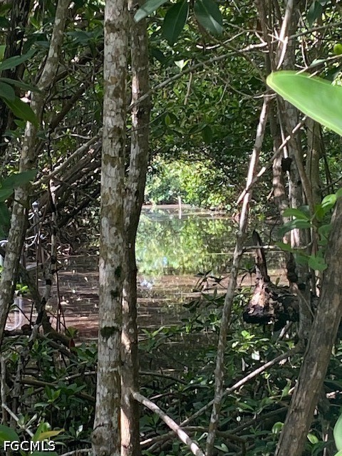 Waterfront Home for Sale in Acreage Header, FL, $35,000 — photo 3