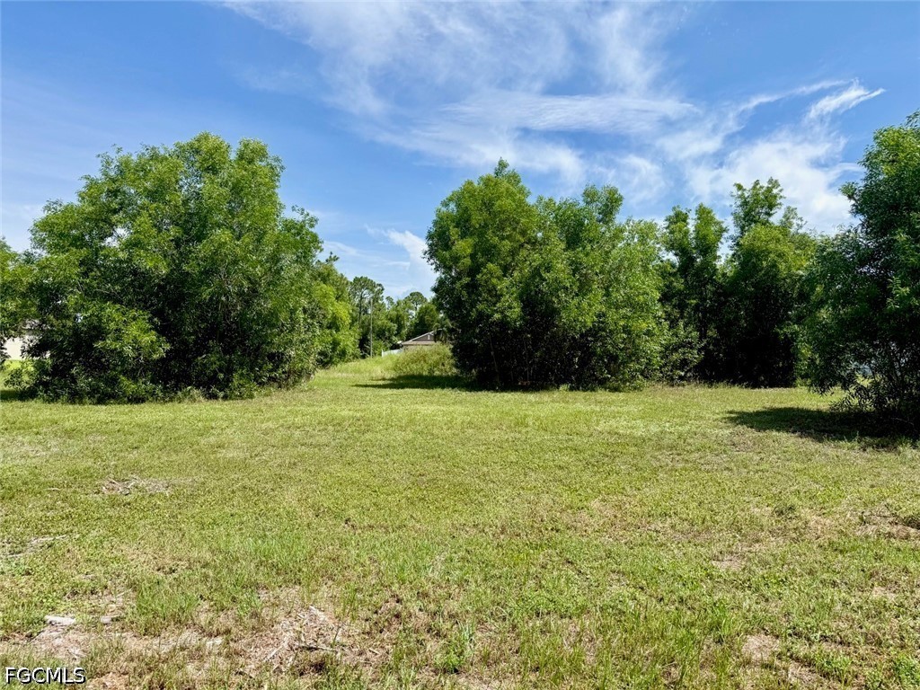 Residential for Sale in Cape Coral, FL, $29,000 — photo 3