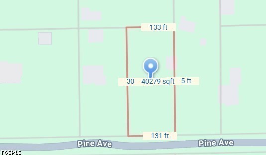 Acreage for Sale in Willis Subd, FL, $109,900 — photo 3