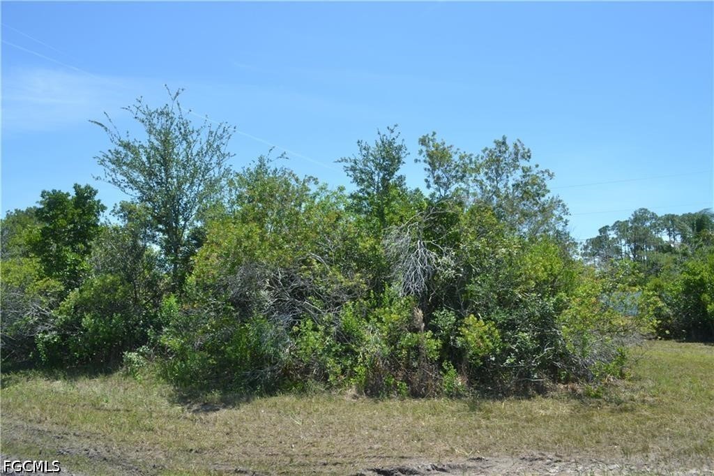 Residential for Sale in Cape Coral, FL, $48,900 — photo 3