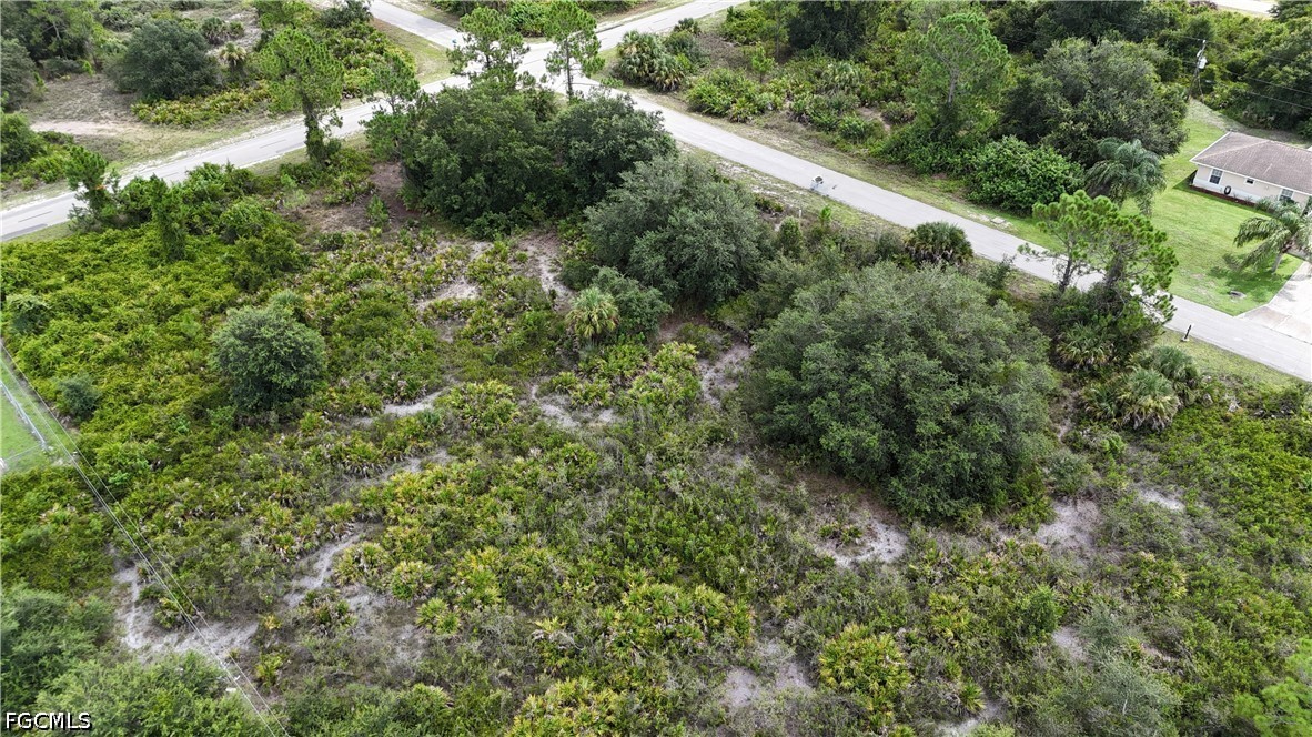 Residential for Sale in Lehigh Acres, FL, $44,900 — photo 3