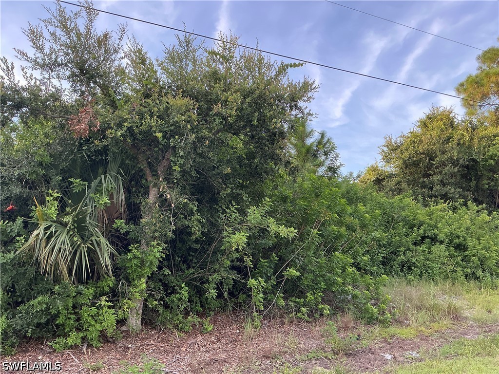 Residential for Sale in Lehigh Acres, FL, $28,400 — photo 3