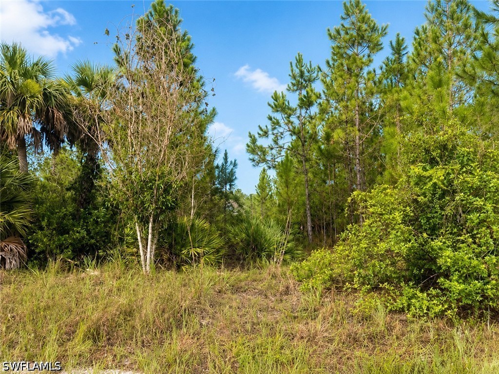 Residential for Sale in Lehigh Acres, FL, $59,000 — photo 3