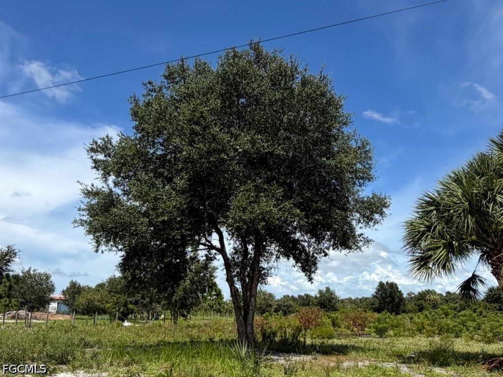 Residential for Sale in Montura Ranch Estates, photo 3