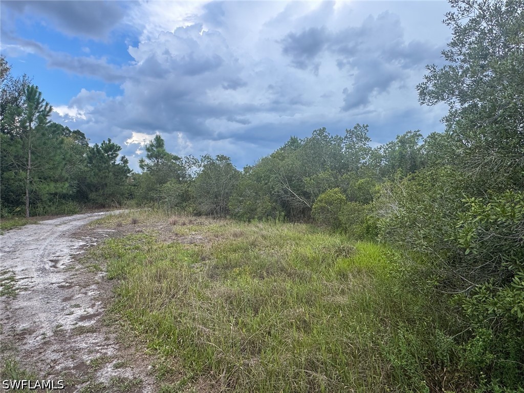 Acreage for Sale in Golden Gate Estates, photo 3