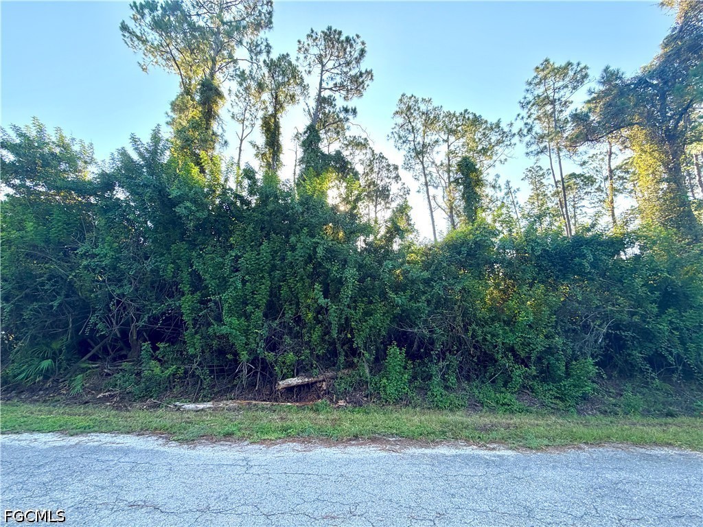 Residential for Sale in Lehigh Acres, photo 3