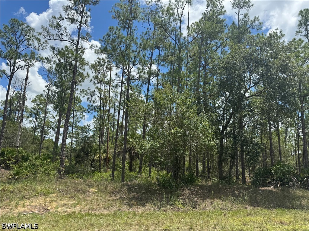 Acreage for Sale in Lehigh Acres, photo 3