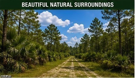 Residential for Sale in Punta Gorda, photo 3