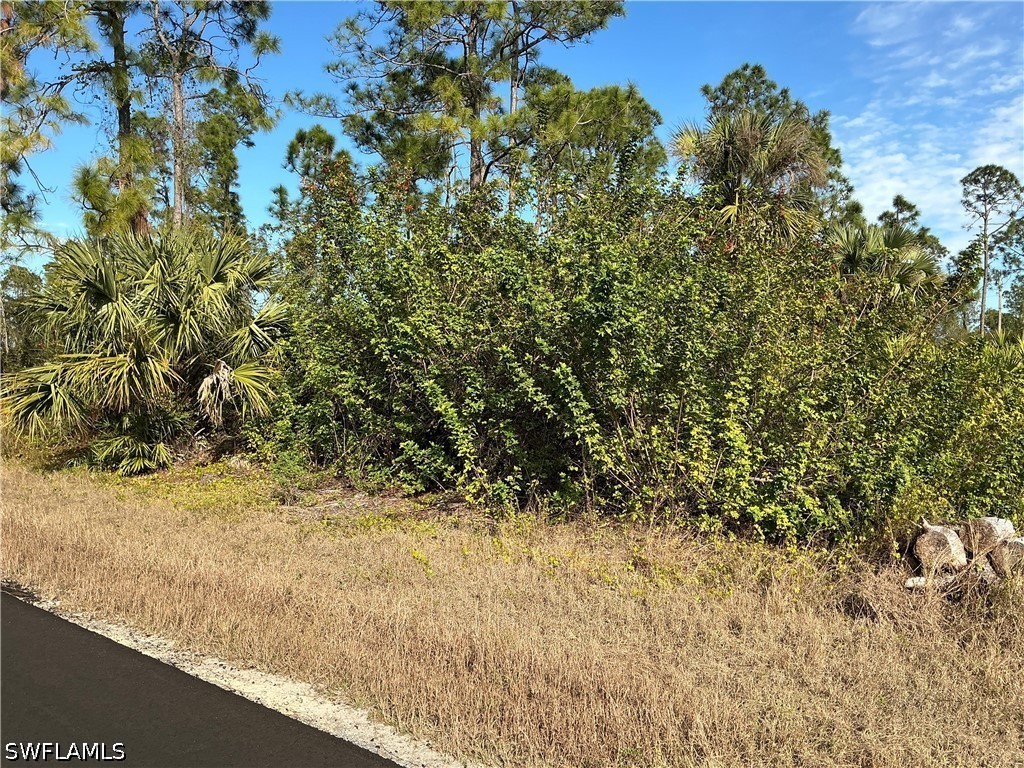 Residential for Sale in Lehigh Acres, photo 3