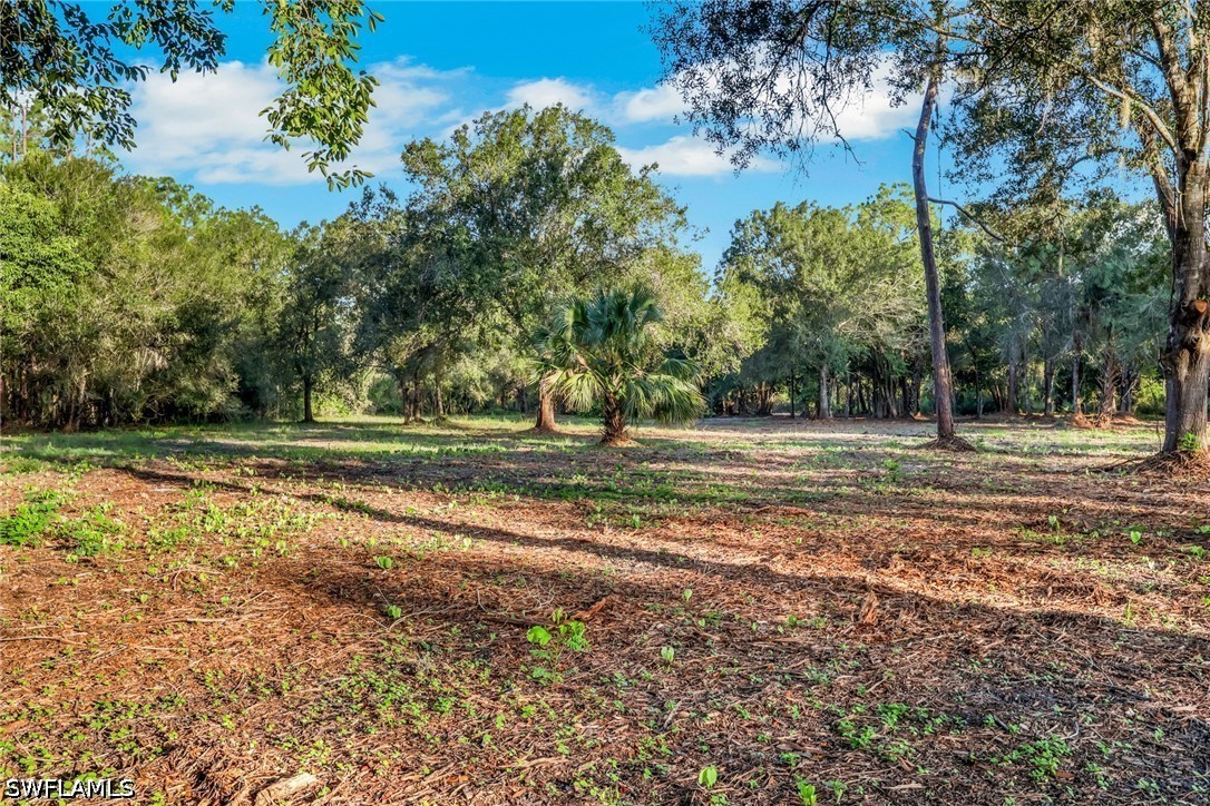 Acreage for Sale in Buckingham, photo 21