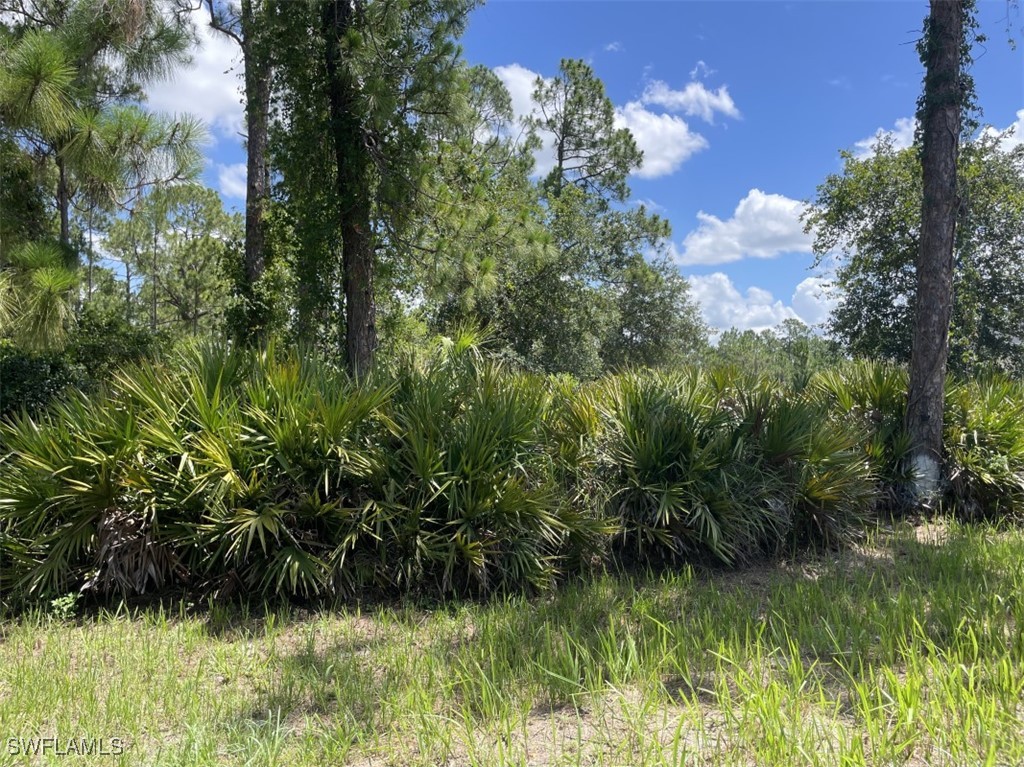 3 Bed SingleFamilyResidence for Sale in Lehigh Acres, FL — photo 22
