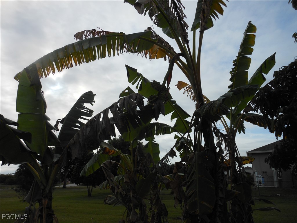 3 Bed SingleFamilyResidence for Sale in Lehigh Acres, FL — photo 23