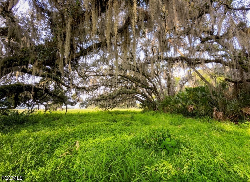 Acreage for Sale in Labelle, FL, $2,250,000 — photo 24