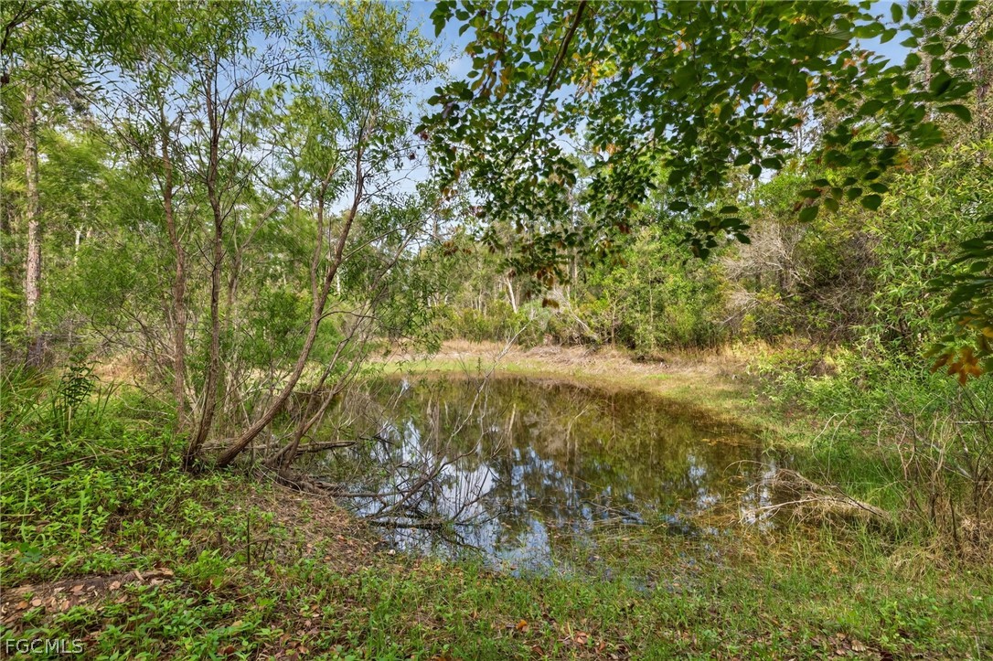 2 Bed SingleFamilyResidence for Sale in Fort Myers, FL — photo 25