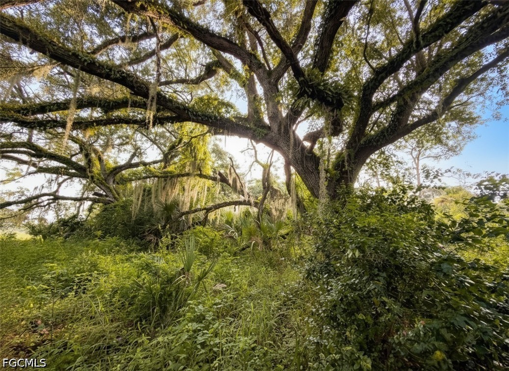 Acreage for Sale in Labelle, FL, $2,250,000 — photo 25
