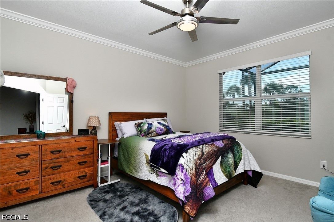 2 Bed Attached for Sale in Trails Edge, photo 25