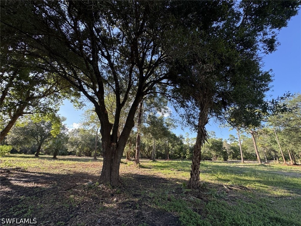 Acreage for Sale in Buckingham, photo 25