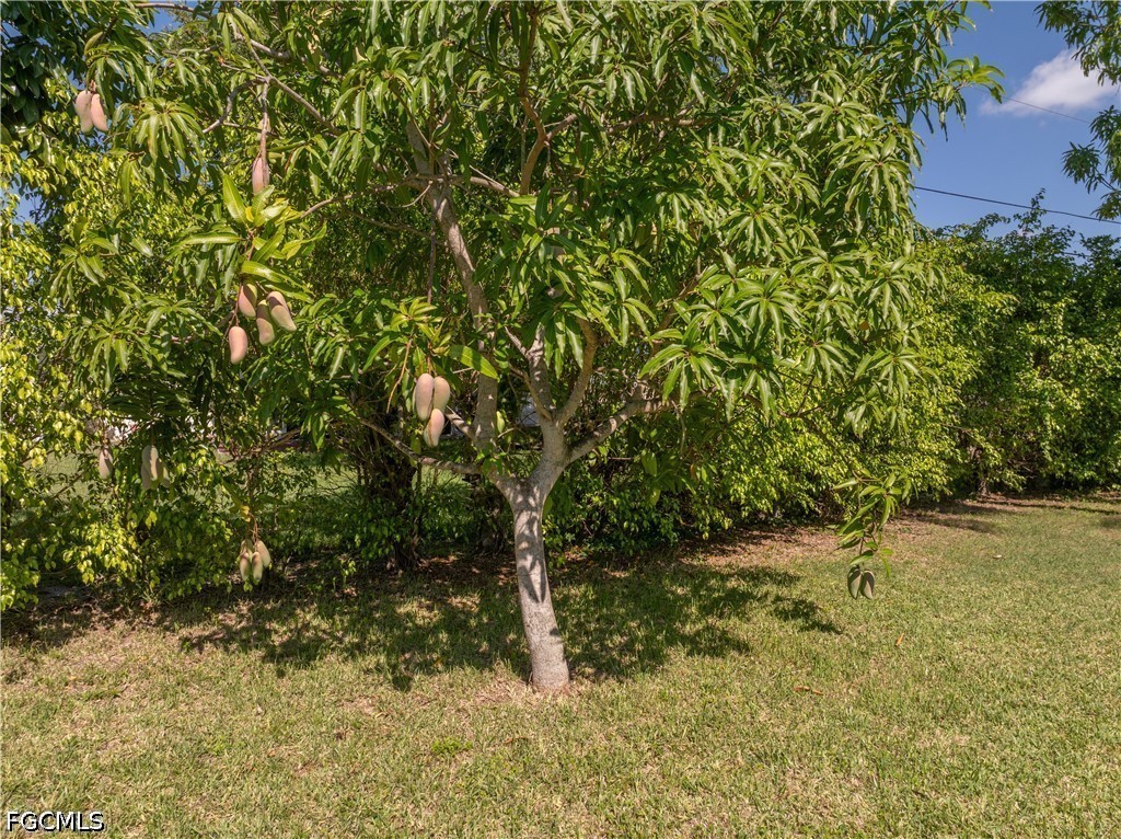 3 Bed SingleFamilyResidence for Sale in Cape Coral, FL — photo 27